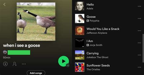 oddly specific spotify playlists|weirdspotifyplaylists .